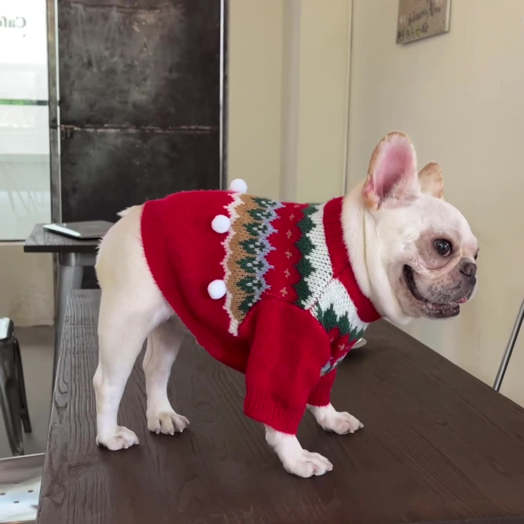 Elevate Your Pet's Holiday Spirit with Our Christmas Sweater